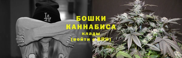 молекула духа Верхний Тагил