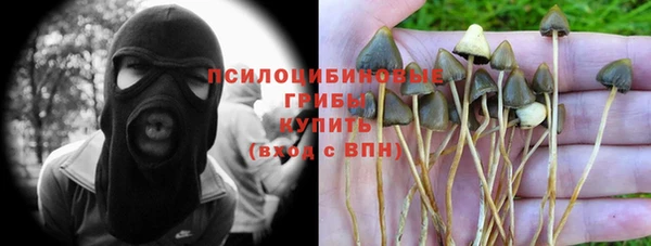 ешки Верея