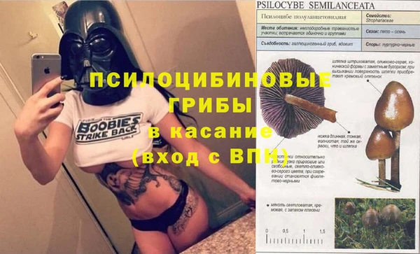 2c-b Верхнеуральск