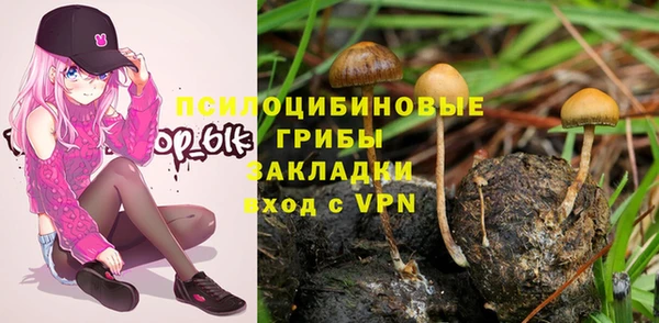 ешки Верея